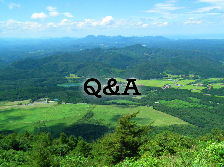 Q&A