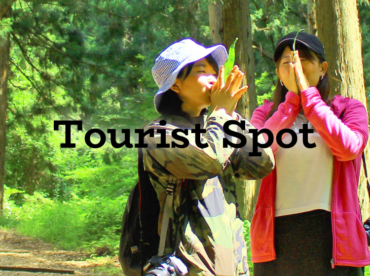 Tourist Spot