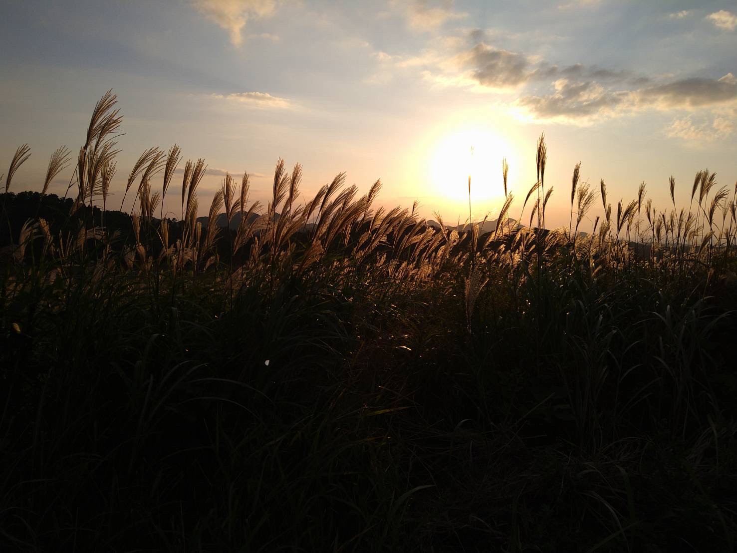 グランピング三瓶山夕日