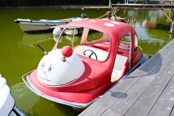 浮布の池テントウムシボート