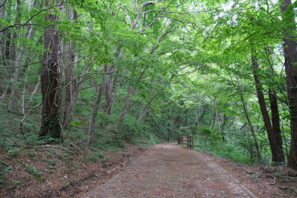 三瓶山遊歩道コース