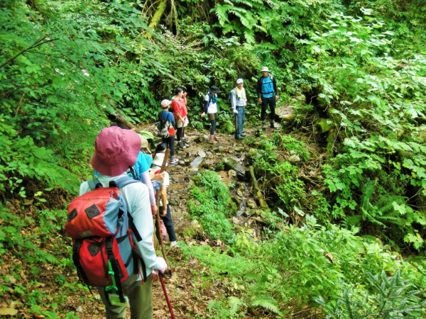 琴引山ちりけ封じ登山